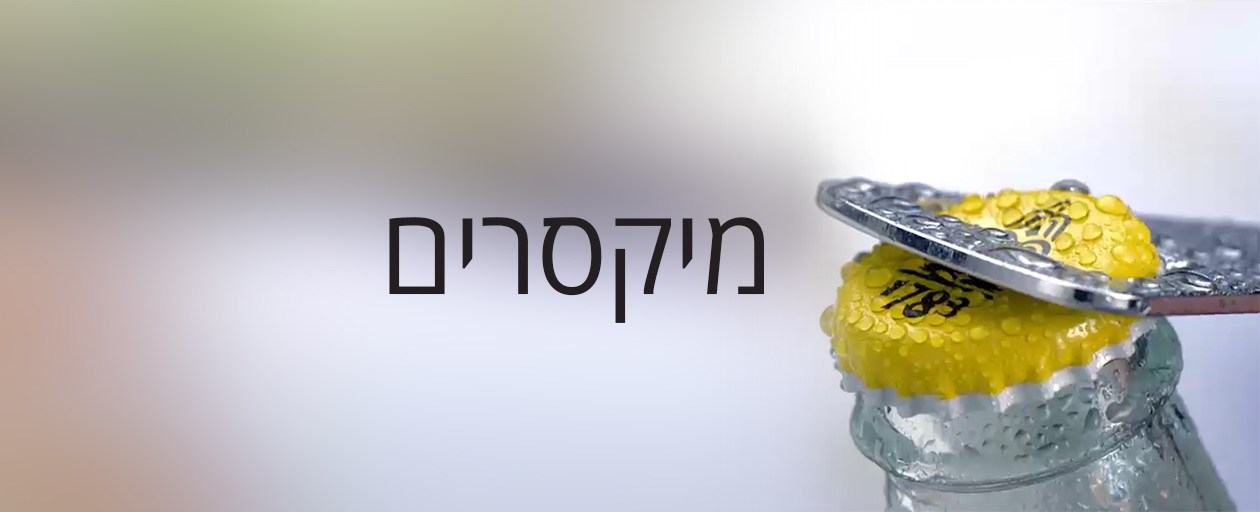 מיקסרים